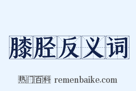 膝胫反义词是什么意思的图片